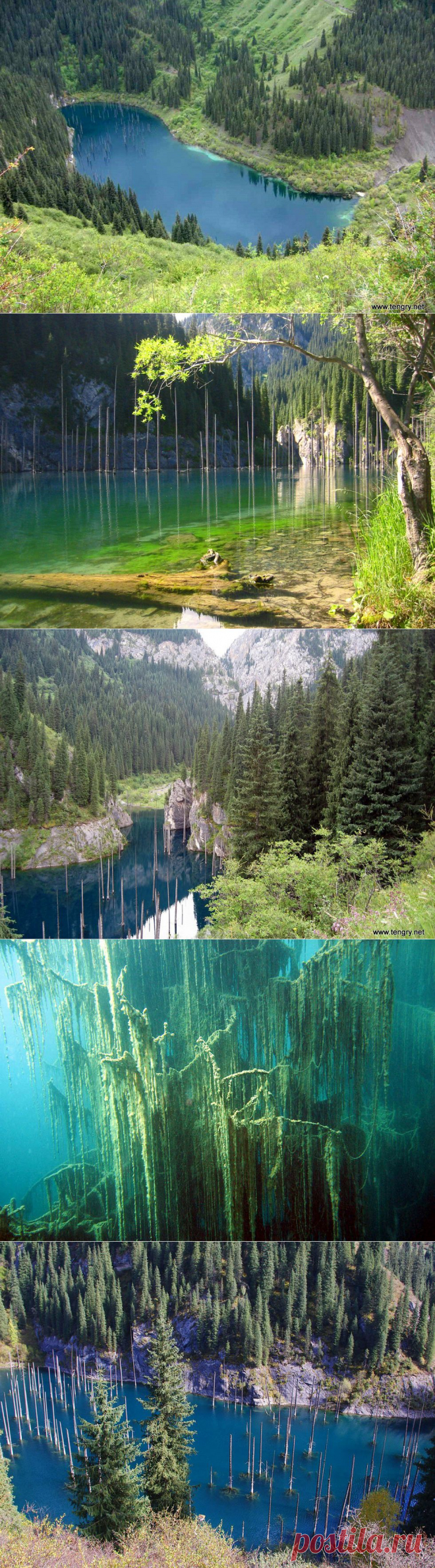 Природное чудо Казахстана — Озеро Каинды ( Это интересно ) &raquo; Kisto4ka.ga - информационно-развлекательный портал