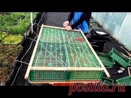 Самый Удобный Парничок, все Сорта как В Шкафу по Полочкам.