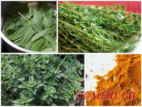 5 специй которые уничтожают бактерии и защищают клетки   Теперь мы знаем, что травы и специи являются мощными антибиотиками, регулярно добавляя их в пищу в малых дозах мы можем повысить свою… Теперь мы