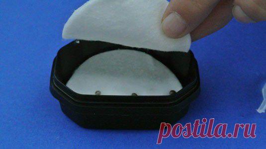 Добро пожаловать в Magic Семена! - Magic Семена