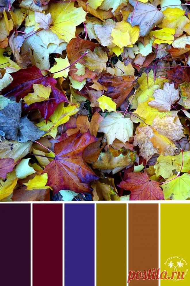 сочетание цвета липы с другими цветами: 2 тыс изображений найдено в Яндекс Картинках