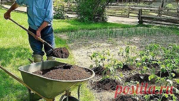1 непрочитанный чат