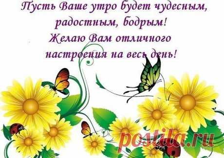 Я пенсионер