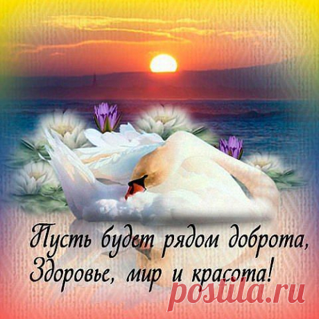~•♥Счастливости♥•~