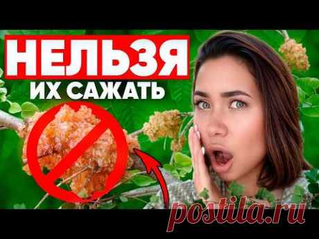 😢🔥НИКОГДА НЕ САЖАЙТЕ эти 12 растений! Они превратят сад в АД