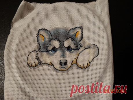 Вышивка крестиком. Хаски