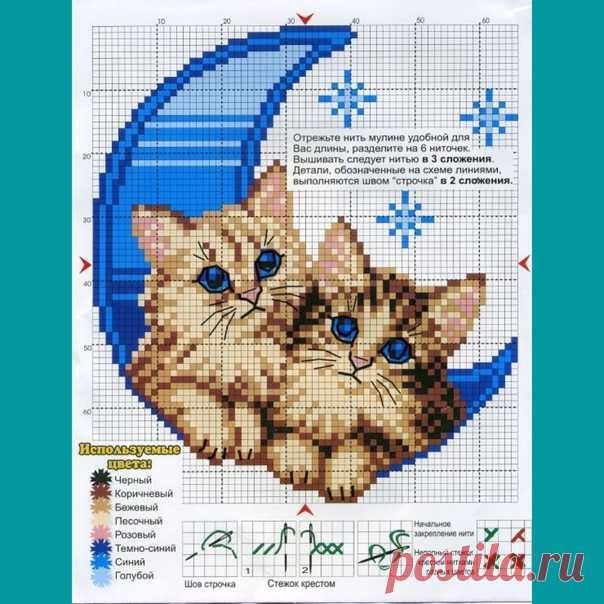 Чудесная парочка котиков крестиком.