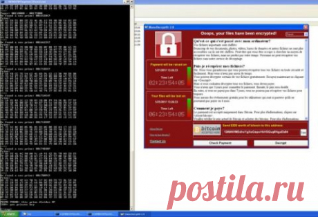 Зашифрованные WannaCry файлы на Windows XP можно вернуть бесплатно Владельцы некоторых компьютеров под управлением операционной системы Windows XP, которые пострадали на прошлой неделе от приложения-вымогателя WannaCry, могут вернуть свои файлы без выкупа. Об этом в …