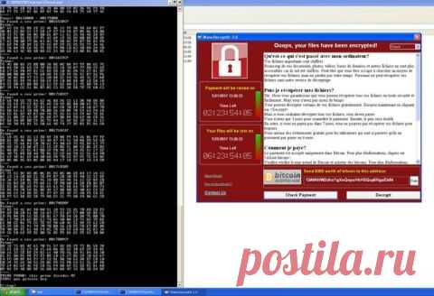 Зашифрованные WannaCry файлы на Windows XP можно вернуть бесплатно Владельцы некоторых компьютеров под управлением операционной системы Windows XP, которые пострадали на прошлой неделе от приложения-вымогателя WannaCry, могут вернуть свои файлы без выкупа. Об этом в …