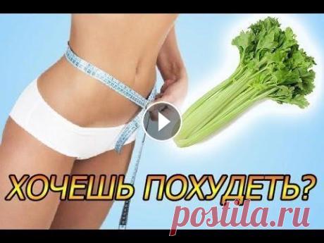 Сельдерей польза для похудения   Рецепты блюд из сельдерея Не знаешь как похудеть? Сельдерей это не только полезный овощ, но и отличное средство для похудения! В этом видео вы узнаете о полезных свойствах сель...