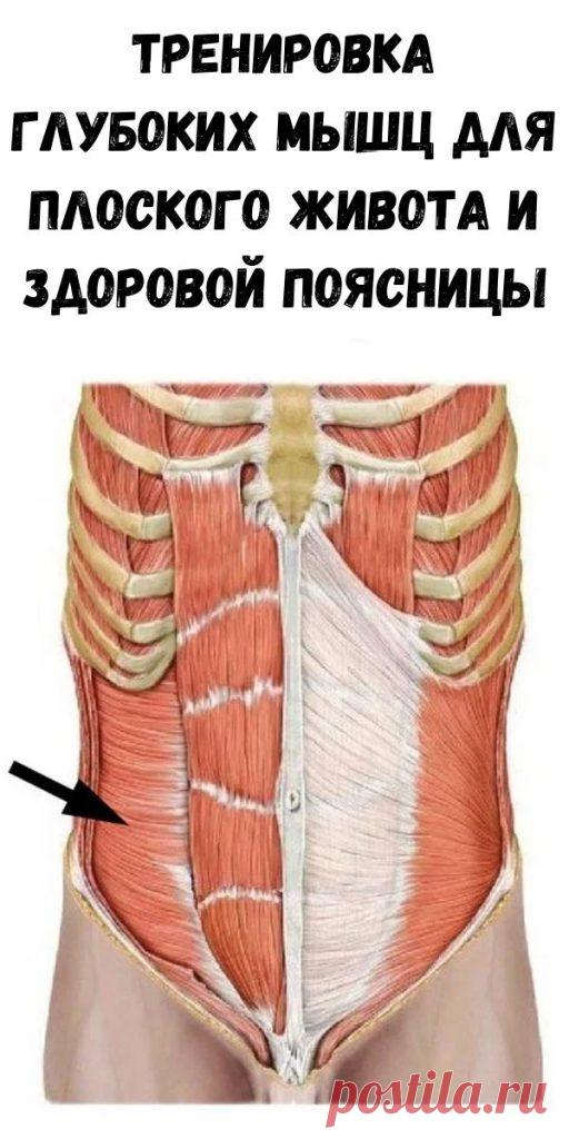 Тренировка глубоких мышц для плоского живота и здоровой поясницы