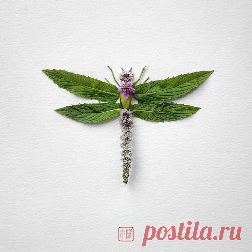 Насекомые, созданные из цветов от художника Раку Иноуэ