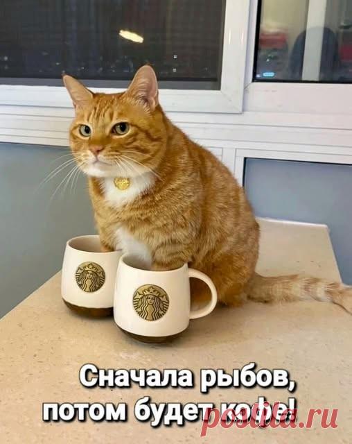 ed22fbe9.jpg (508×640)