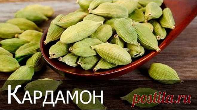 (77) Одноклассники