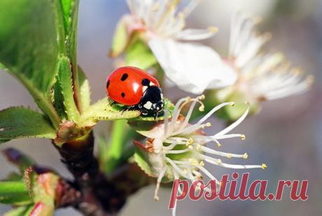 Яркие фотографии Николая Кузнецова — Фотоискусство