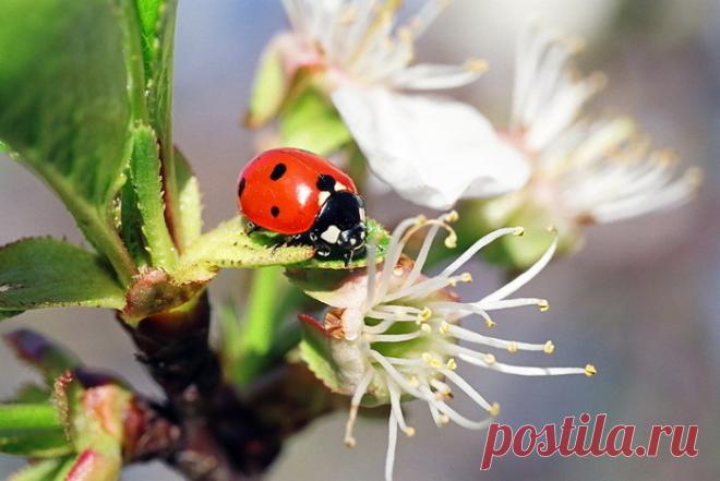 Яркие фотографии Николая Кузнецова — Фотоискусство