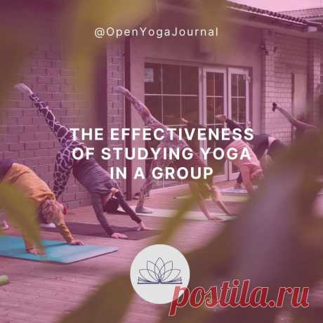 A study plan for yoga offers many advantages, maximizing our ability to effectively utilize our own resources for self-exploration. In this article we will try to answer such questions as: What are the key factors for successful learning? How to choose the right school of yoga? Why is the personal presence important during the studying process?