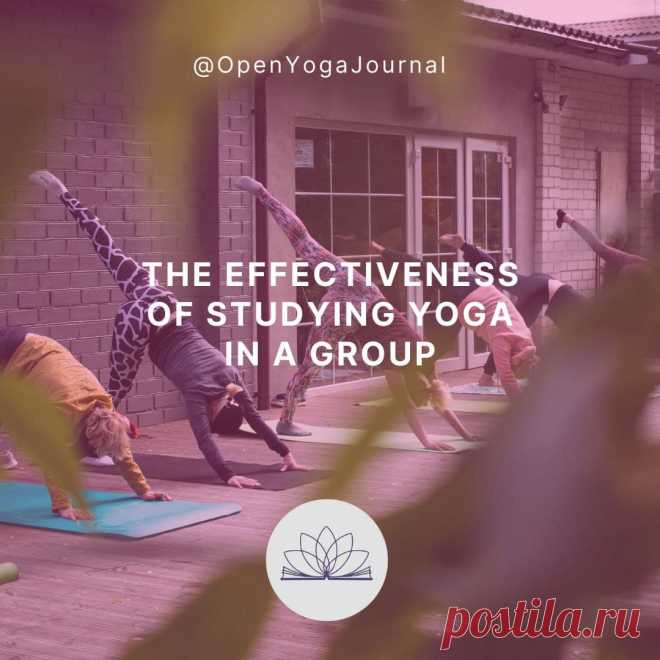 A study plan for yoga offers many advantages, maximizing our ability to effectively utilize our own resources for self-exploration. In this article we will try to answer such questions as: What are the key factors for successful learning? How to choose the right school of yoga? Why is the personal presence important during the studying process?