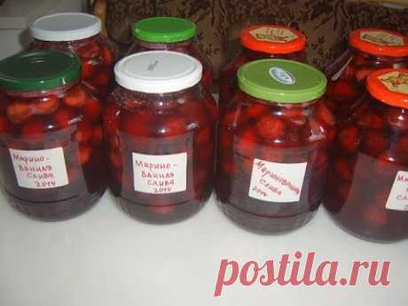 Маринованная слива