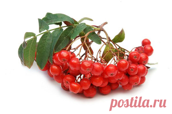 original.jpg (600×399)
