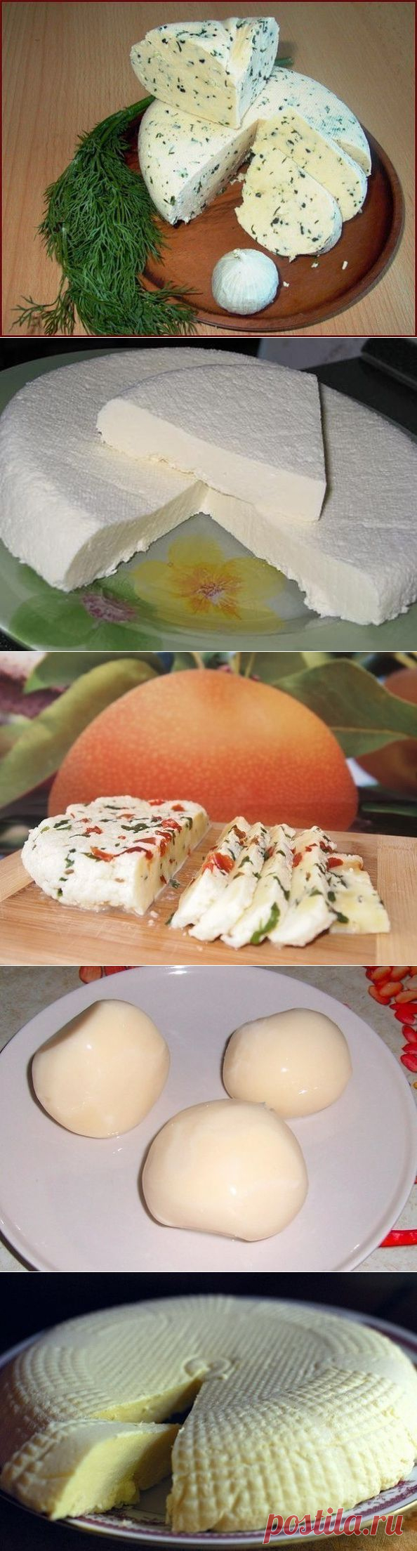 Подборка вкусных домашних сыров - Сайт "Кулинария для Всех и Каждого"