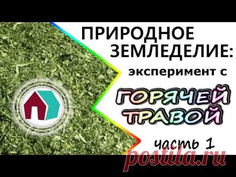 ГОРЯЧАЯ ТРАВА в ПРИРОДНОМ ЗЕМЛЕДЕЛИИ (эксперимент) часть 1

Как мы пробовали подкладывать горячую траву разным овощам. Как мы экспериментировали с горячей травой, заменяя ей другую мульчу, заменяя ей все подкормки. Каким растениям это понравилось, на каких мы не заметили результата.