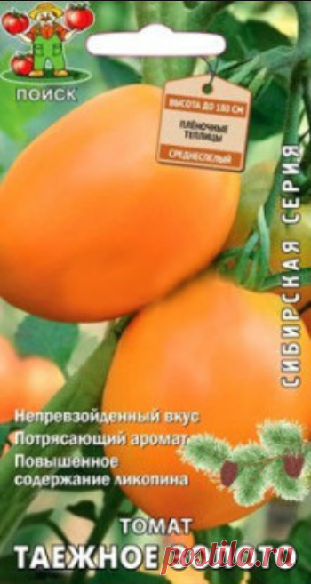 Томат. Таёжное золото (Сибирская серия)