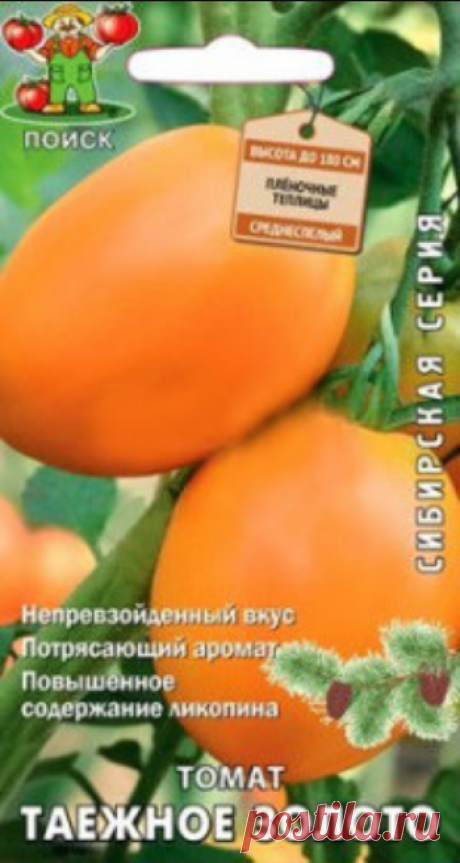 Томат. Таёжное золото (Сибирская серия)