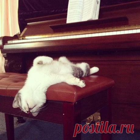 Шопен за душу взял...