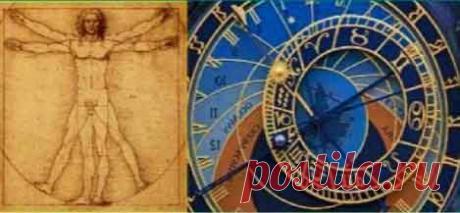 Совместимость биоритмов человека: физическая, эмоциональная, интеллектуальная.