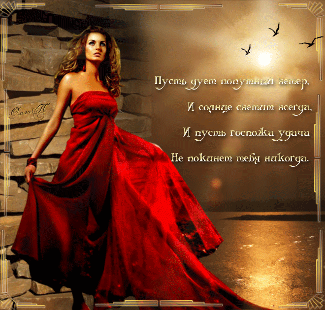 ₪₪₪ღ₪₪₪ღ₪₪₪ღ₪₪₪