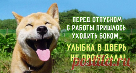 Девять открыток о жизни. - Цитаты, афоризмы, пословицы - Женский Мир