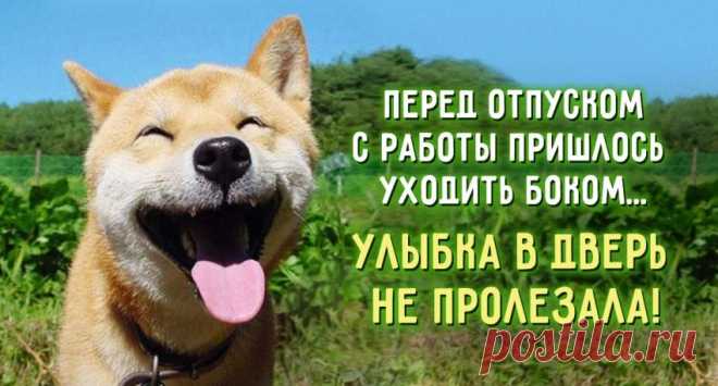 Девять открыток о жизни. - Цитаты, афоризмы, пословицы - Женский Мир