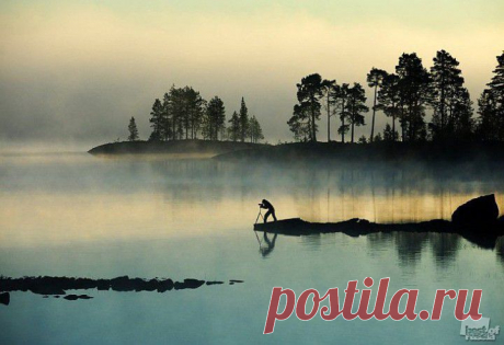 Лучшие фотографии России: природа | Среда обитания