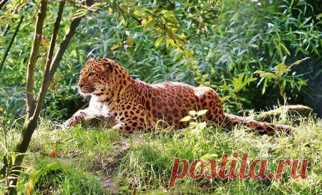 Мой Мир@Mail.Ru