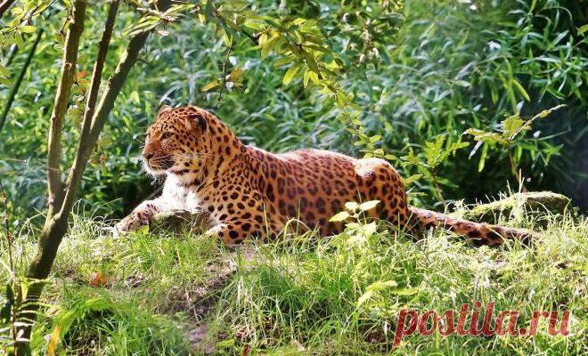 Мой Мир@Mail.Ru