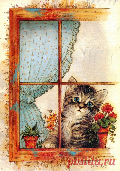 Любителям кошек и собак)). Часть 1