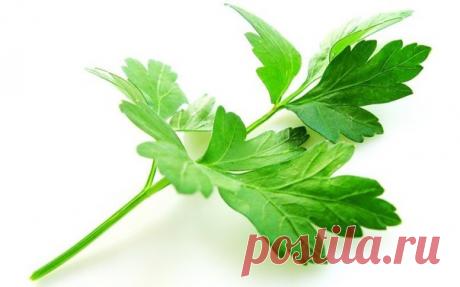 Если вас беспокоит печень.