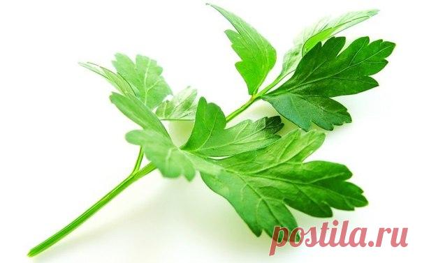 Если вас беспокоит печень.