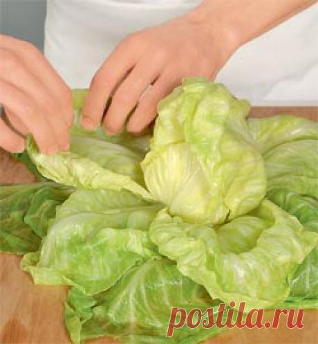 Молодая капуста, фаршированная мясом