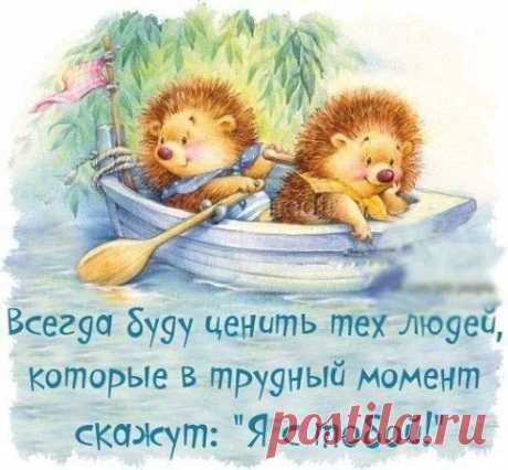 (16) Одноклассники