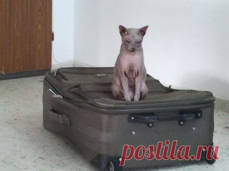 пора в путь дорогу....