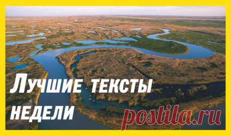 Лучшие материалы недели — в нашей воскресной подборке: 1. Хозяева Mедной горы. История Норильска: bit.ly/2kgG4Mx 2. Заяц нападает на ястреба: bit.ly/2kHgKxD 3. Щука ела окуня и замерзла: bit.ly/2lEz09g 4. Никакой толерантности. Как венгерская деревня борется с наплывом мигрантов: bit.ly/2kkwN16 5. Новый Арал. Какая участь уготована озеру Балхаш: bit.ly/2kz93XM