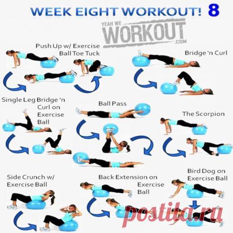 FITNESS HASHTAG - Best Fitness & Bodybuilding Information