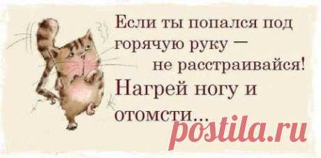 Радуйтесь каждой мелочи! |