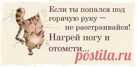 Радуйтесь каждой мелочи! |