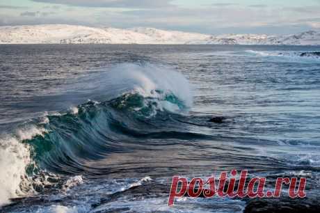 Баренцево море. Автор фото: Машекина Екатерина.
