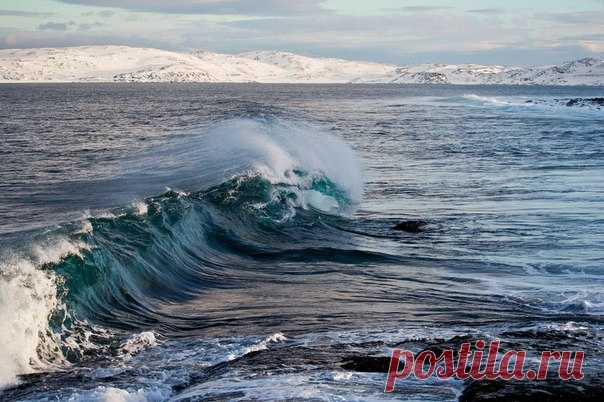 Баренцево море. Автор фото: Машекина Екатерина.