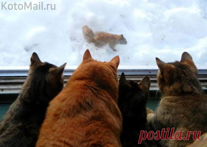 Наш "путешественник" возвращается...