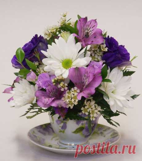 Найдено на сайте jacob-watsonsflowers.blogspot.com.